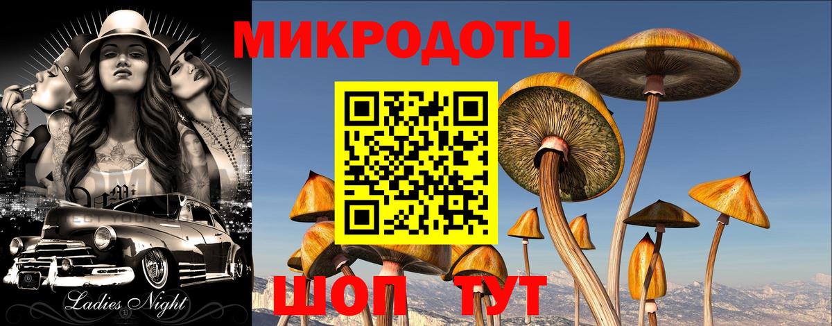 Галлюциногенные грибы мицелий  Галлюциногенные грибы Psilocybe  Коркино  Вход с VPN 